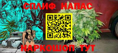 гидра Краснодар