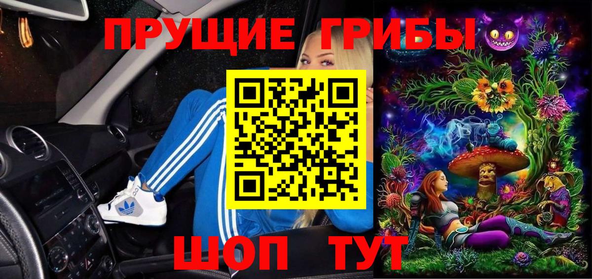Кисловодск  Галлюциногенные грибы Psilocybe  Вход с VPN  Псилоцибиновые грибы GOLDEN TEACHER 