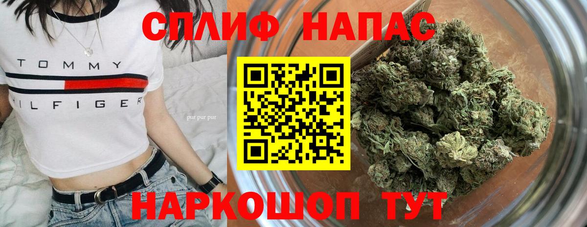 Шишки марихуана планчик Кисловодск